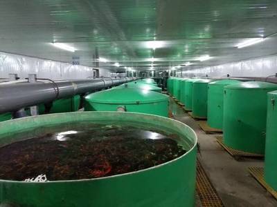 捍卫食材安全 京城老渔(北京)农业科技园区 获评水产健康养殖示范场
